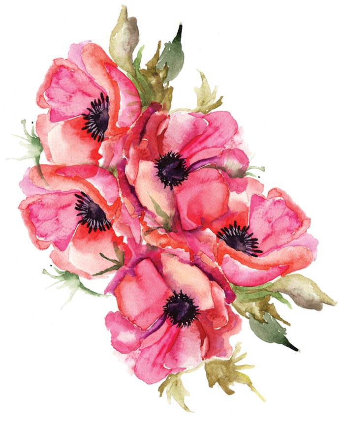 pink flowers